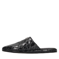 Sabot Jurassic in pelle 