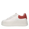 ASH Sneakers in pelle