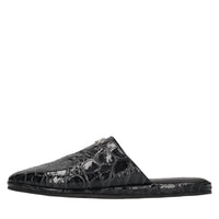 Sabot Jurassic in pelle 