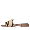 LORENZO MARI Mules in cavallino